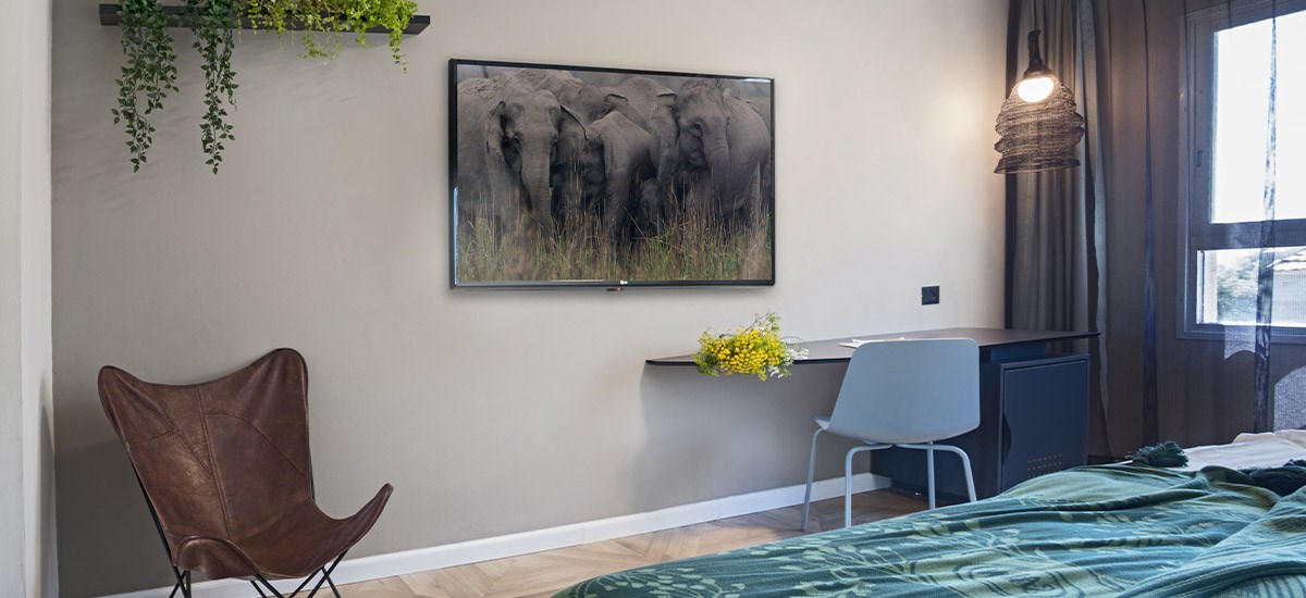 Superior with Garden Access