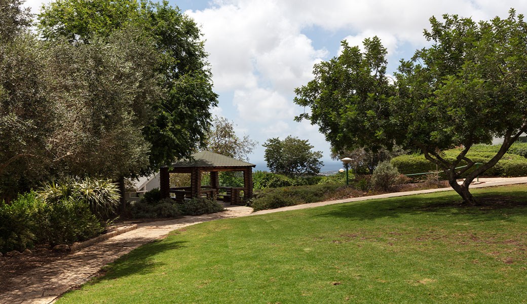 nir-ezion--gallery-5