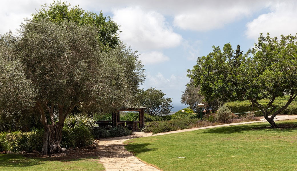 nir-ezion--gallery-7