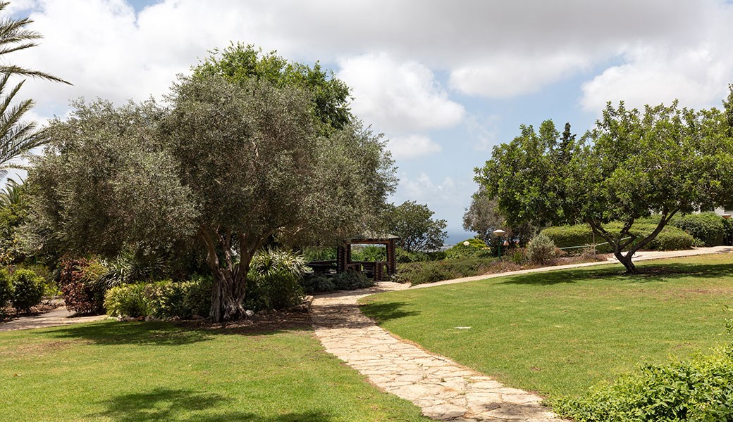 nir-ezion--gallery-8